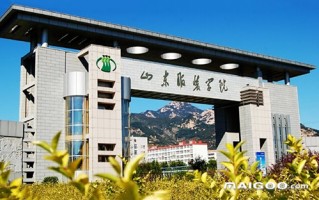 泰安职业技术学校，泰安职业技术学校有哪些学校